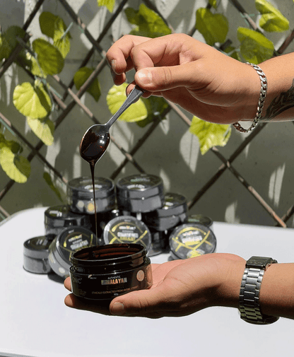 Shilajit Origilal Himalaya: revitaliza tu cuerpo en forma natural